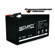 Security Force -1207 (12V7A)